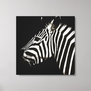 Zebra Black and White Stripes Animal Canvas Print