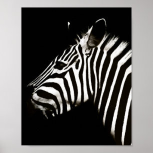 Zebra Black and White Stripes Animal Poster