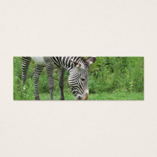 Zebra Bookmark