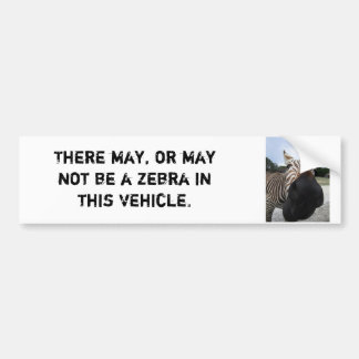 Zebra Bumper Sticker - Funny!