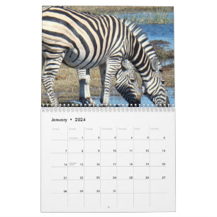 Zebra Calendar