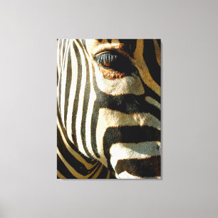 Zebra Canvas Print