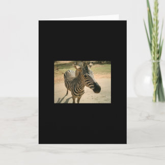 Zebra Card