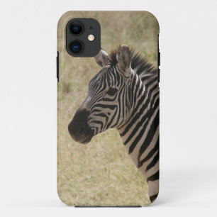 zebra iPhone 11 case
