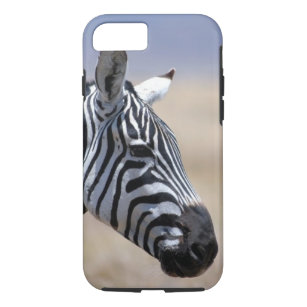 Zebra Case-Mate iPhone Case