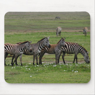 Zebra Clan Mouse Pad