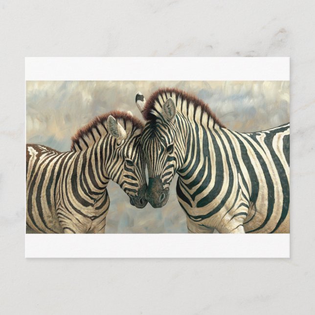 zebra-clip-art-3 postcard (Front)