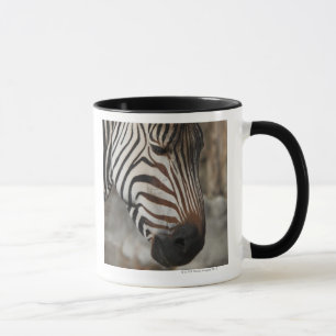 Zebra, close-up mug