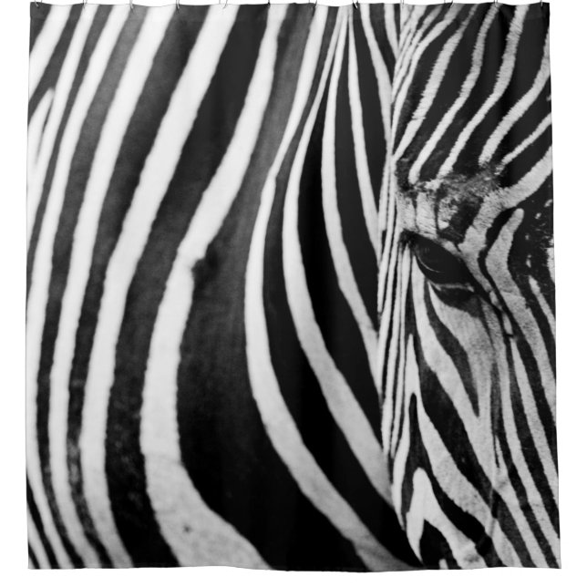 ZEBRA CLOSE-UP VIEW SHOWER CURTAIN (Front)