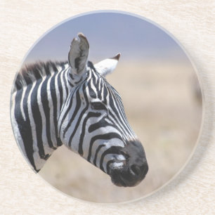 Zebra Coaster