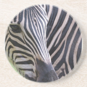 Zebra Coasters