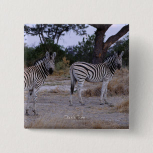 Zebra Double Take Photo 15 Cm Square Badge