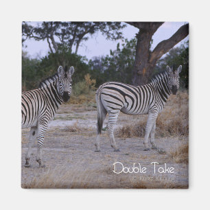 Zebra Double Take Photo Magnet