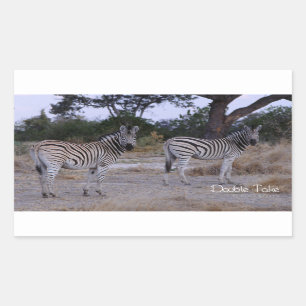 Zebra Double Take Photo Rectangular Sticker