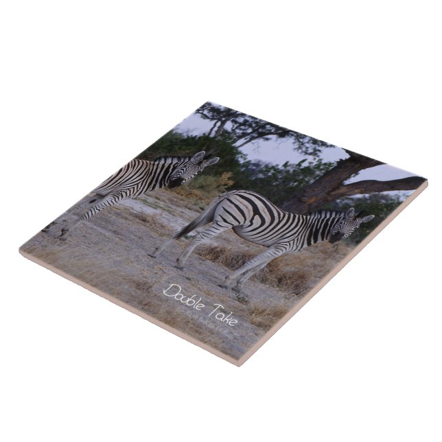 Zebra Double Take Photo Tile (Side)
