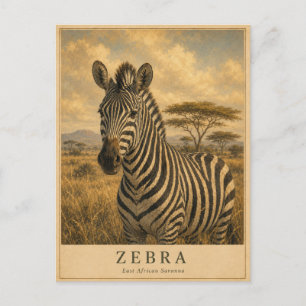 Zebra East African Savanna VINTAGE Postcard