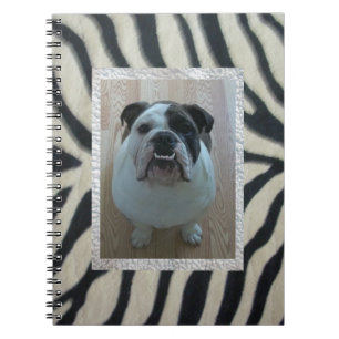Zebra English bulldog Notebook