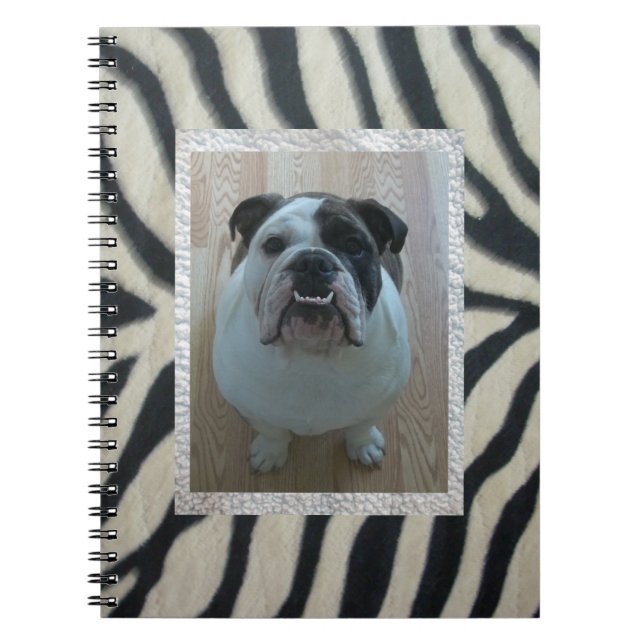 Zebra English bulldog Notebook (Front)