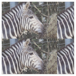 Zebra Fabric