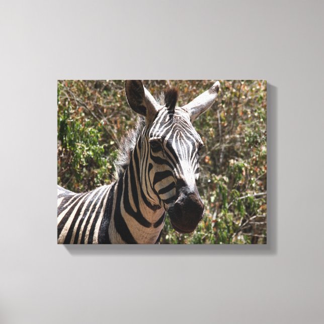 zebra face canvas print (Front)