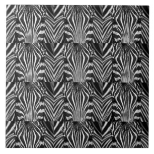 ZEBRA FACE TILE