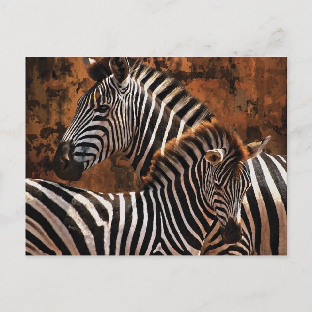 Zebra fall stripes postcard (Front)