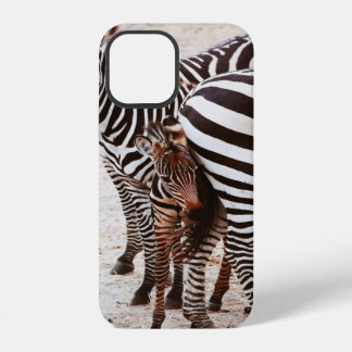 ZEBRA FAMILY iPhone 12 CASE