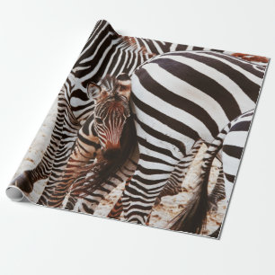 ZEBRA FAMILY WRAPPING PAPER