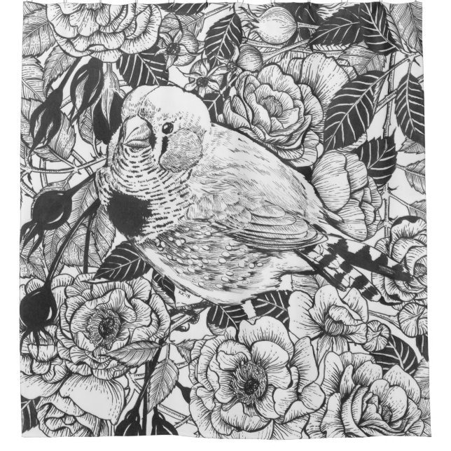 Zebra finch and rose bush ink drawing shower curtain (Front)