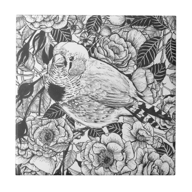 Zebra finch and rose bush ink drawing tile (Front)