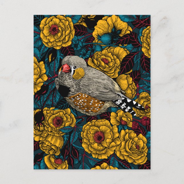 Zebra finch and rose bush postcard (Front)