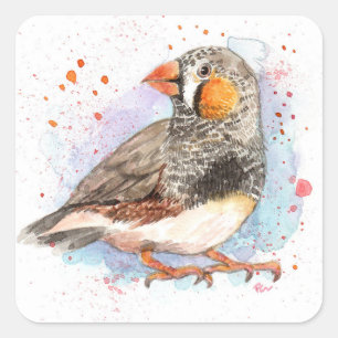 Zebra Finch Square Sticker