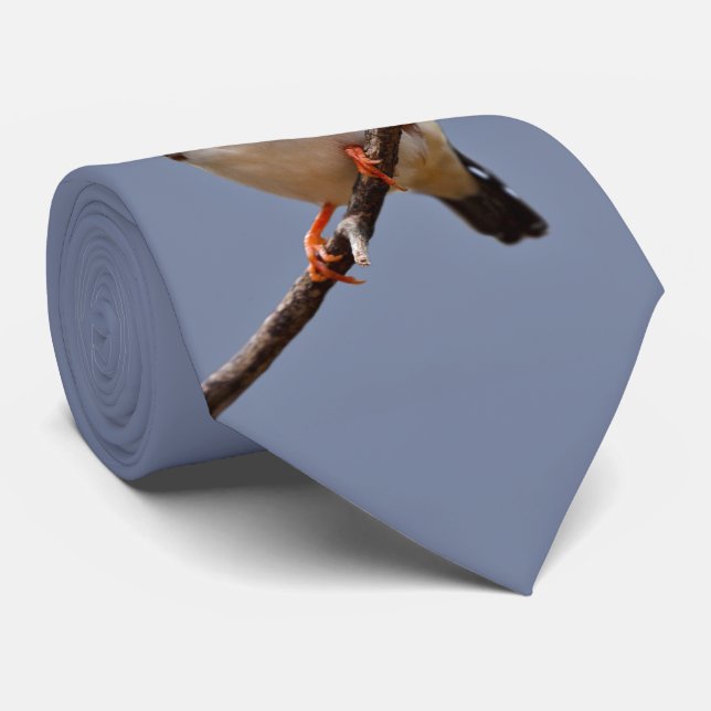 Zebra Finch Tie (Rolled)