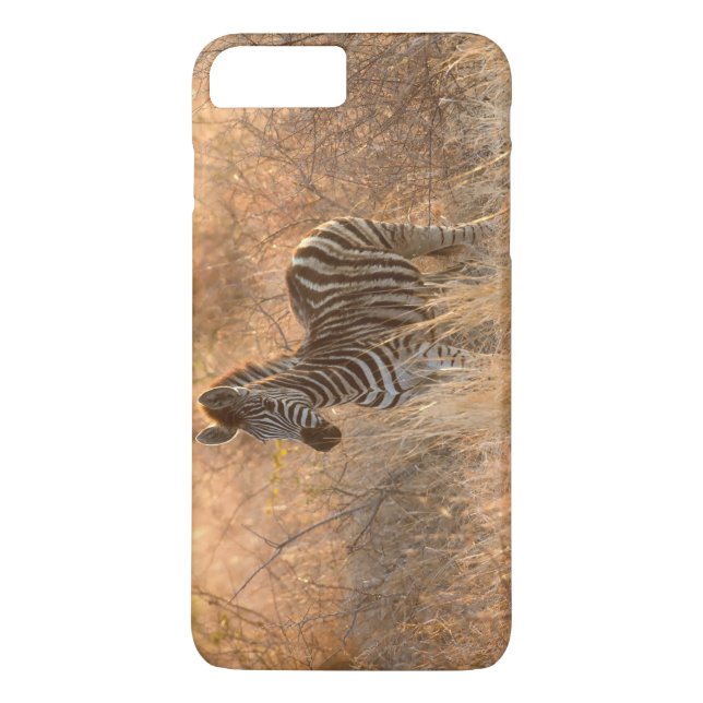 Zebra foal in morning light Case-Mate iPhone case (Back)