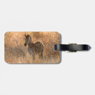 Zebra foal in morning light luggage tag