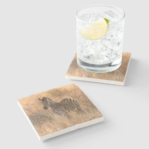 Zebra foal in morning sunrise photo stone coaster