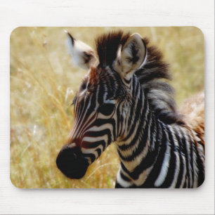 Zebra Foal wildlife mousepads