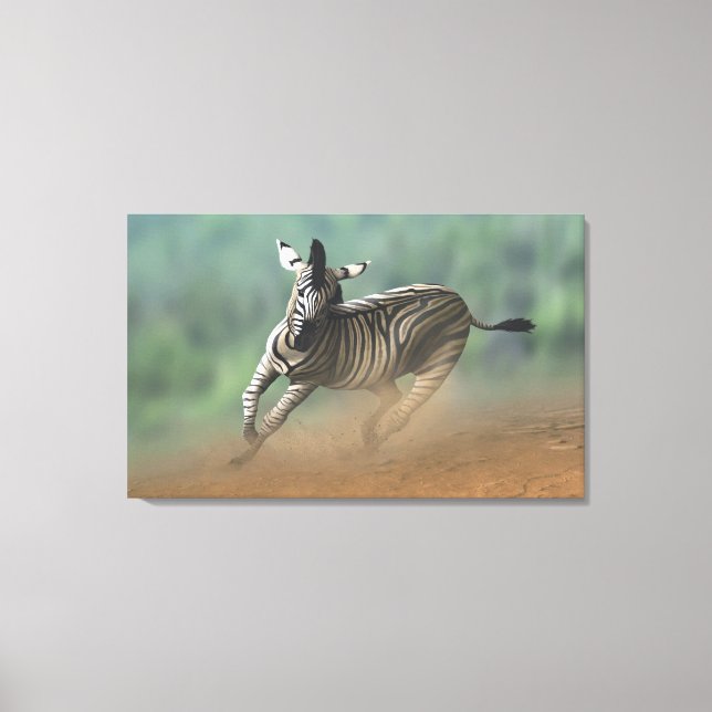 Zebra galloping over the desert landscape. canvas print (Front)