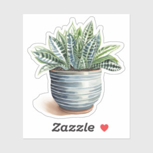 Zebra Haworthia Potted Plant Vinyl Stickers