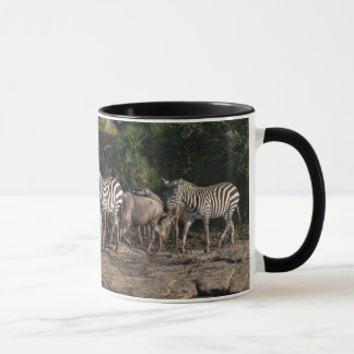 Zebra Herd in Natural Setting Black Interior Gift Mug