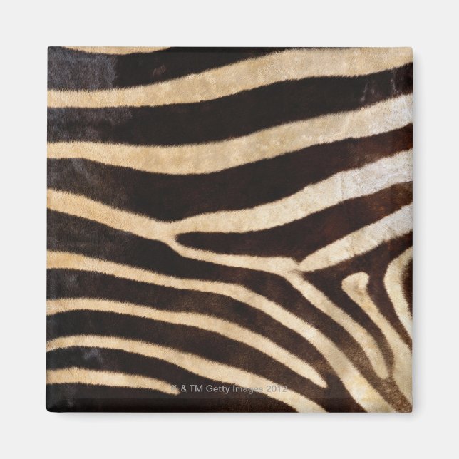 Zebra Hide 2 Magnet (Front)