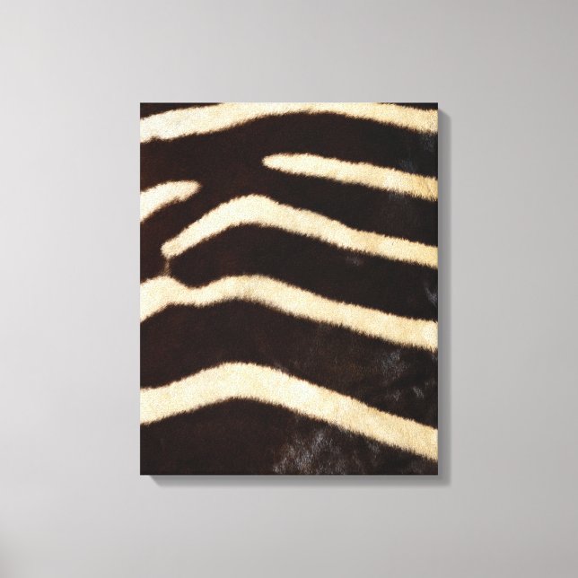 Zebra Hide Canvas Print (Front)