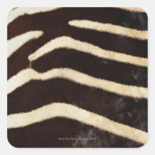 Zebra Hide Square Sticker