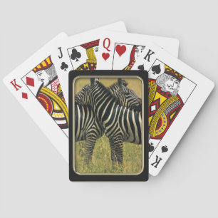 Zebra Hugs Photo Art Playing Cards