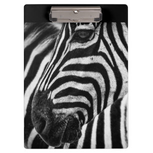 Zebra Illusion Clipboard