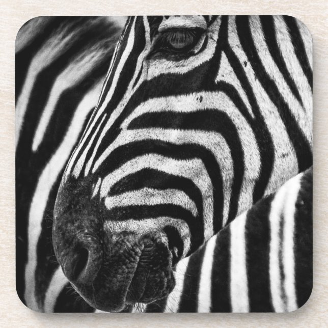 Zebra Illusion Coaster (Front)