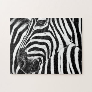 Zebra in black and white, Jigsaw Puzzle