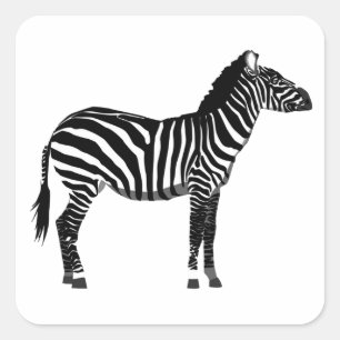 Zebra in Black and White Stripes Square Sticker