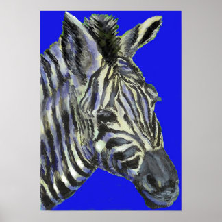zebra in blue -  poster