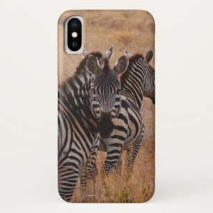Zebra in Kenya Case-Mate iPhone Case